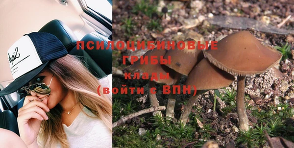 амф Алзамай