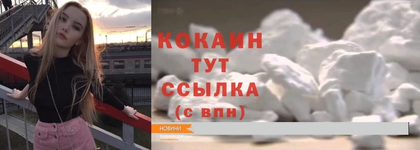 шишки Алексин