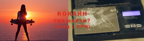 шишки Алексин