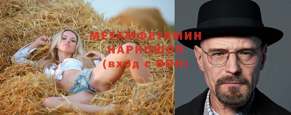 шишки Алексин
